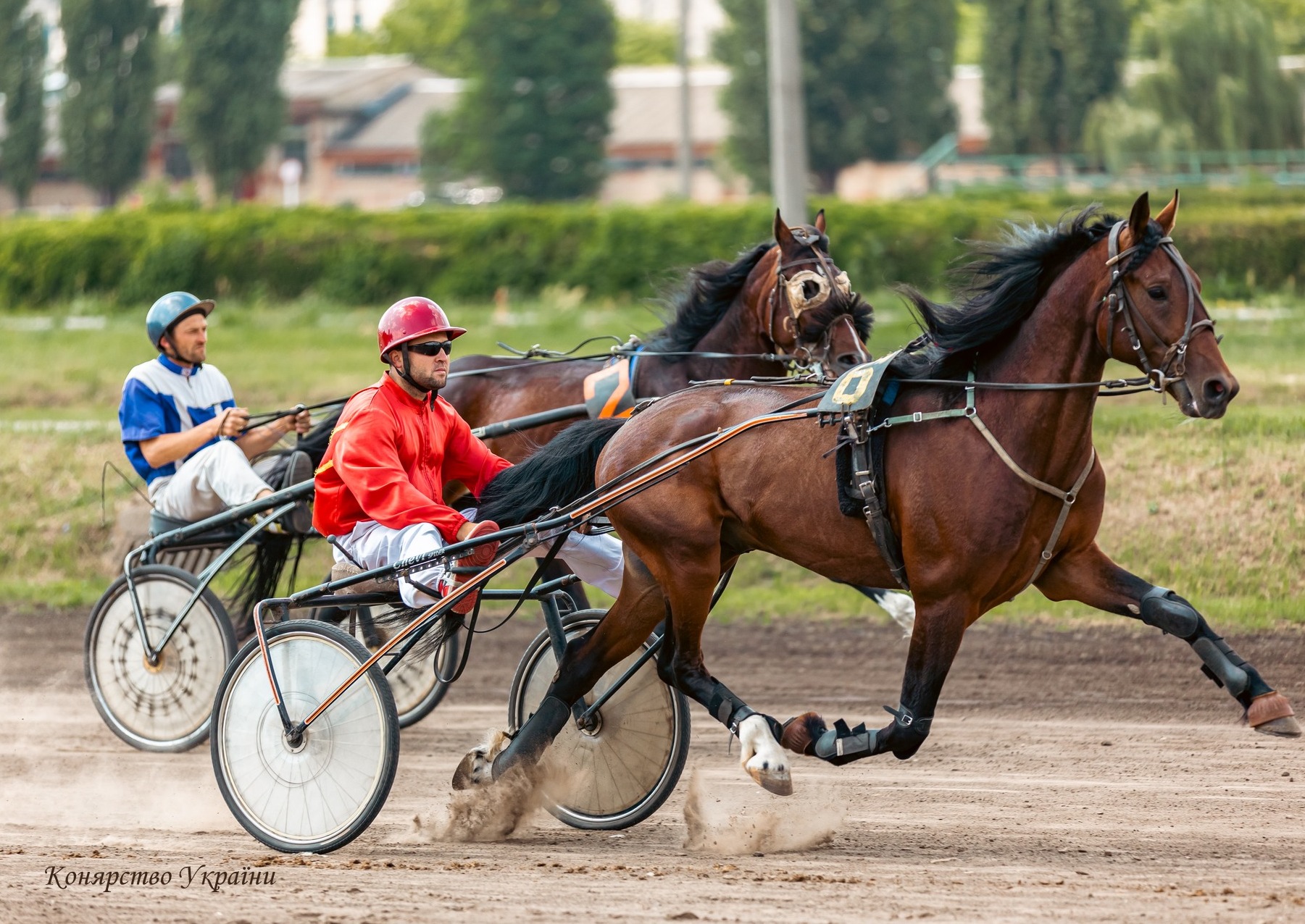 ДП «Конярство України»