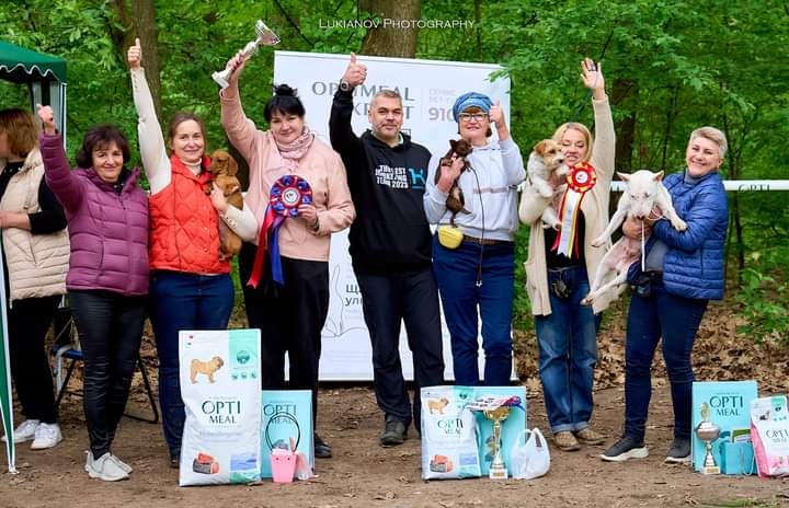 Кінологічний клуб «Лідер»