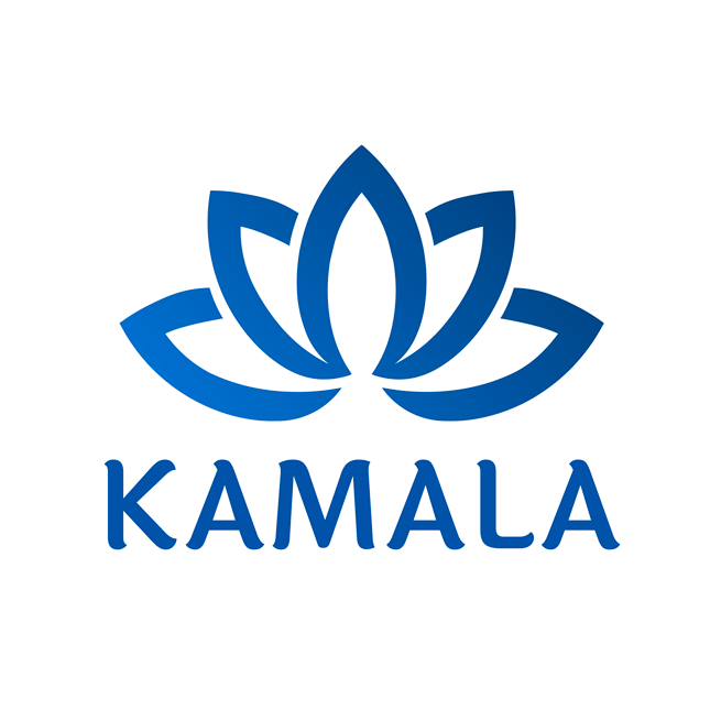 Спілка автоматизаторів бізнесу «Камала Софт»