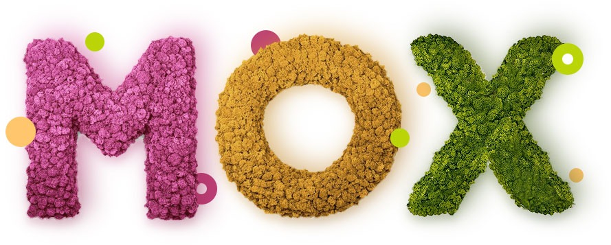 Компания MOH.com.ua