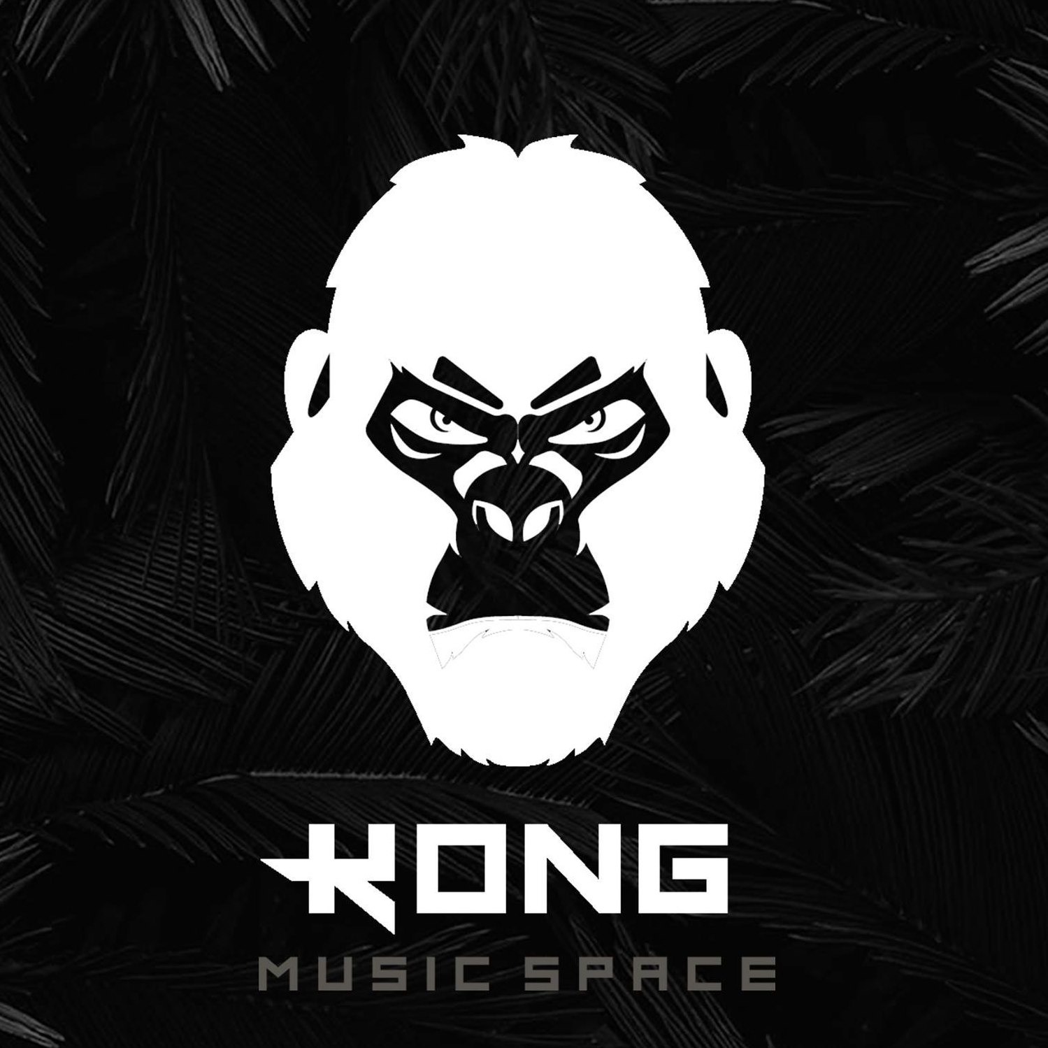 Караоке бар «Kong Music Space»