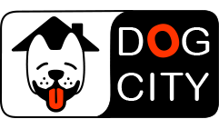 Центр Dog City