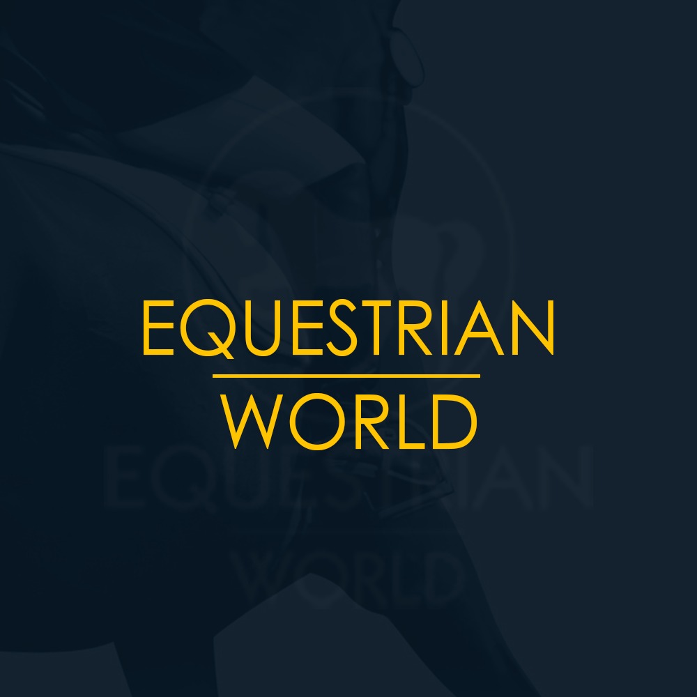 Школа верховой езды «Equestrian world»