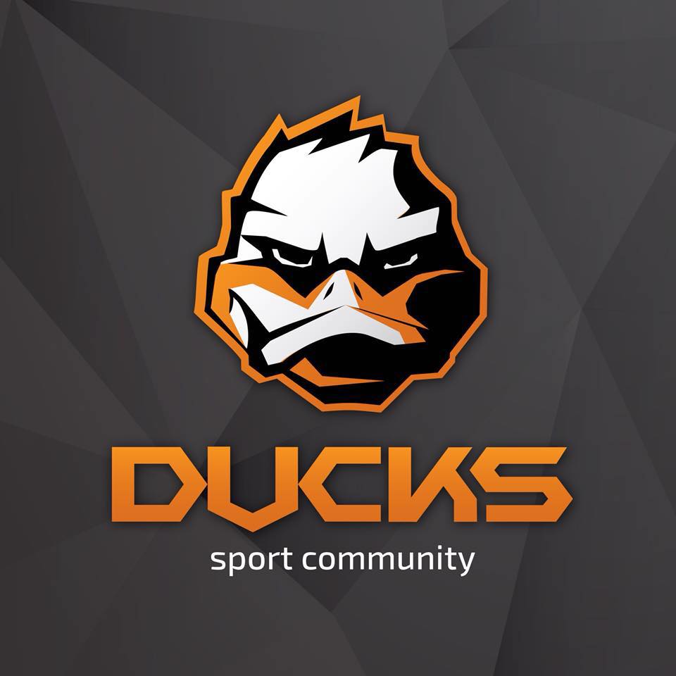 Сеть спортивных клубов Ducks