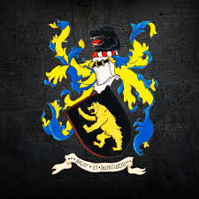 Асоціація з середньовічного бою “Айна Бера”