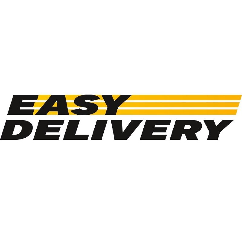 Easy Delivery - сервіс оренди скутерів та мотоциклів для роботи
