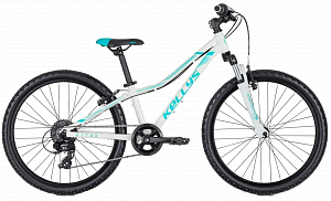 Спортивный магазин VeloViva