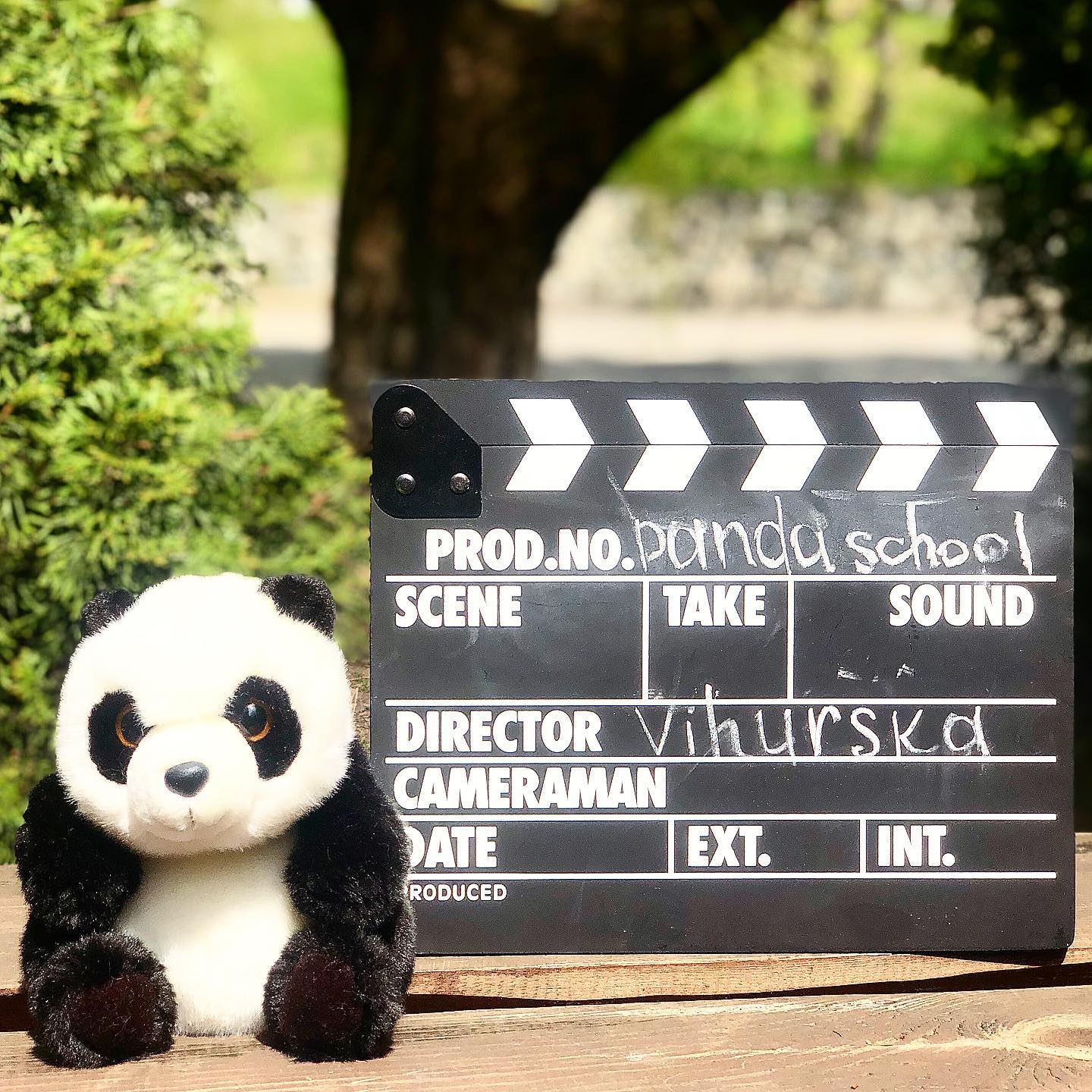 Школа акторської майстерності "PANDA"