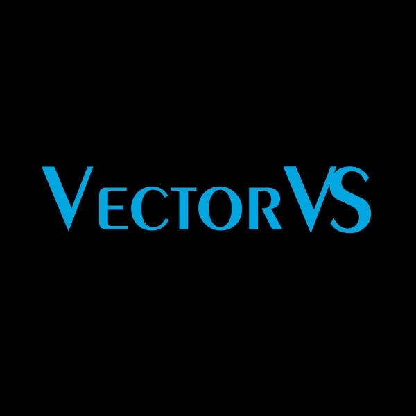 Vector VS - українська комерційно-інжинірингова компанія