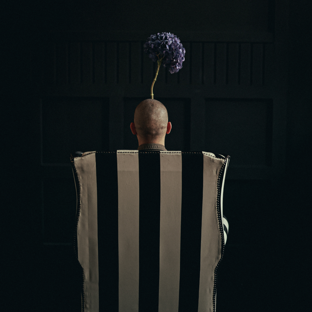 Фотостудія Image Studio