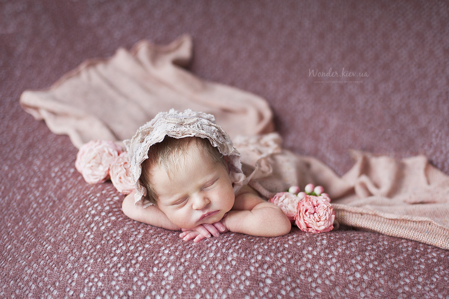Фотостудія Wonder Newborn Studio