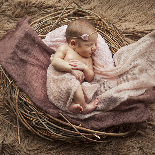 Фотостудія Wonder Newborn Studio