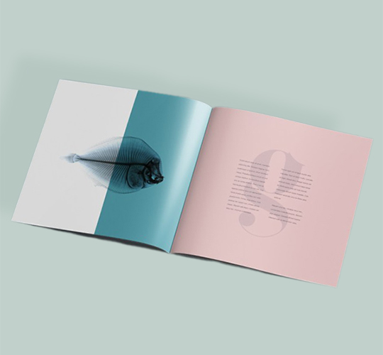 Поліграфія PrintStudio