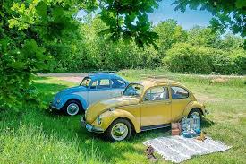 Компанія PIREL CAR RENTAL