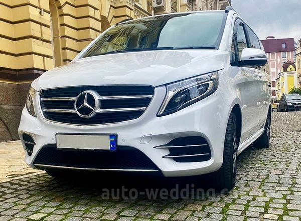 Компанія "Авто на весілля"