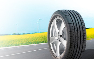 Магазин автомобильных шин и дисков «ГороШина»