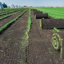 ЦЕНТР ГАЗОННЫХ ТРАВ