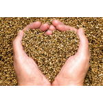 Компания "Семена Онлайн"