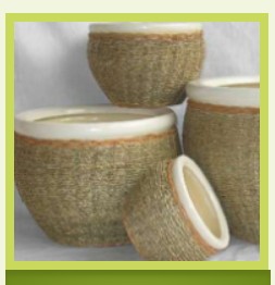 Магазин семян У-Дача Агро