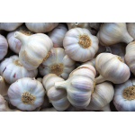 Компания "Семена Онлайн"