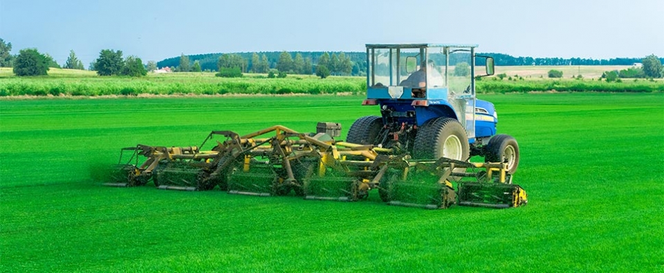 ЦЕНТР ГАЗОННЫХ ТРАВ