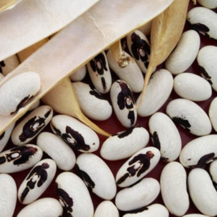 Интернет-магазин Веснодар