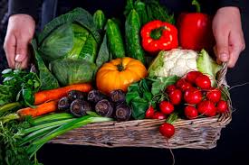 Интернет-магазин семян Зернятко