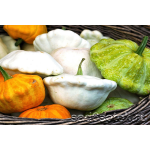 Компания "Семена Онлайн"