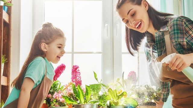 Интернет-магазин AgroMisto