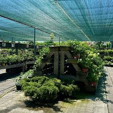 Супермаркет декоративных и плодовых растений Botanic Market