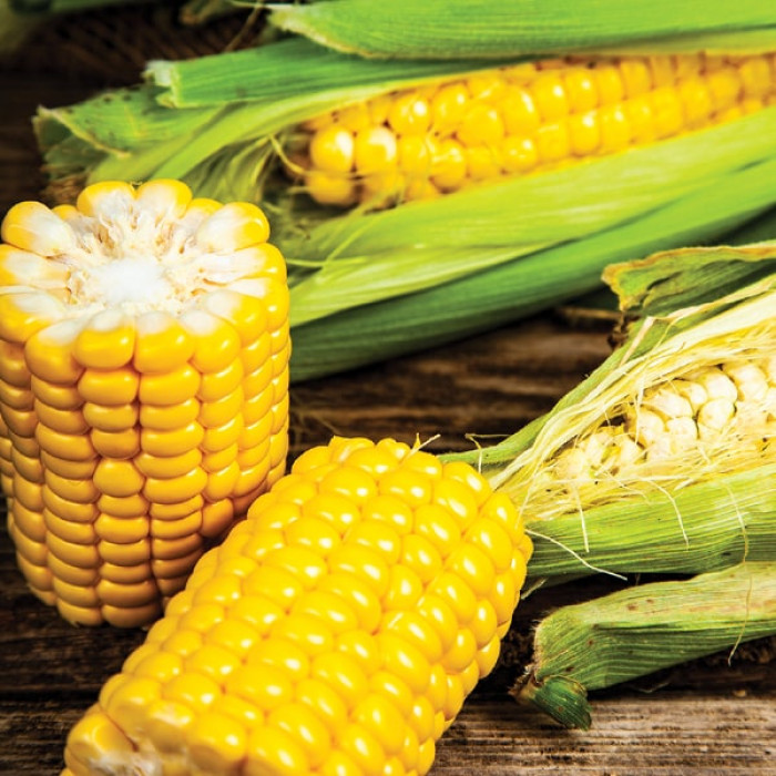 Интернет-магазин Веснодар