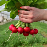 Интернет-магазин Веснодар