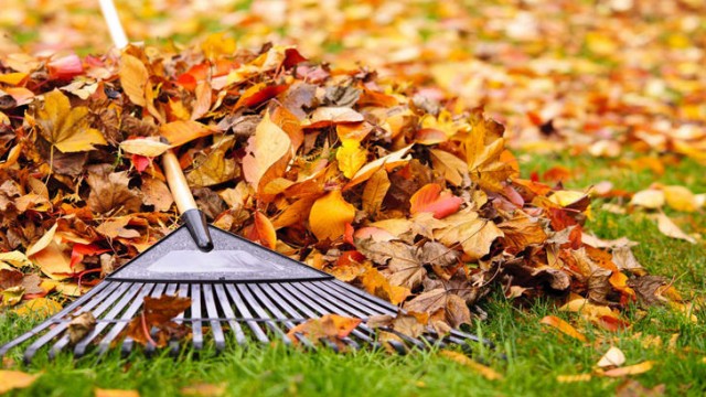 Интернет-магазин AgroMisto