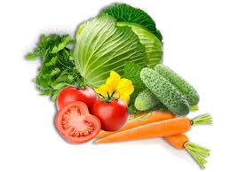 Интернет-магазин семян Зернятко