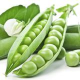 Интернет-магазин "Профессиональные семена"