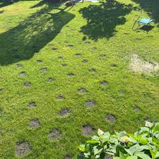 ЦЕНТР ГАЗОННЫХ ТРАВ