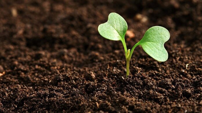 Компания «Vitagro Partner»