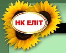 Компания «НК Элит»