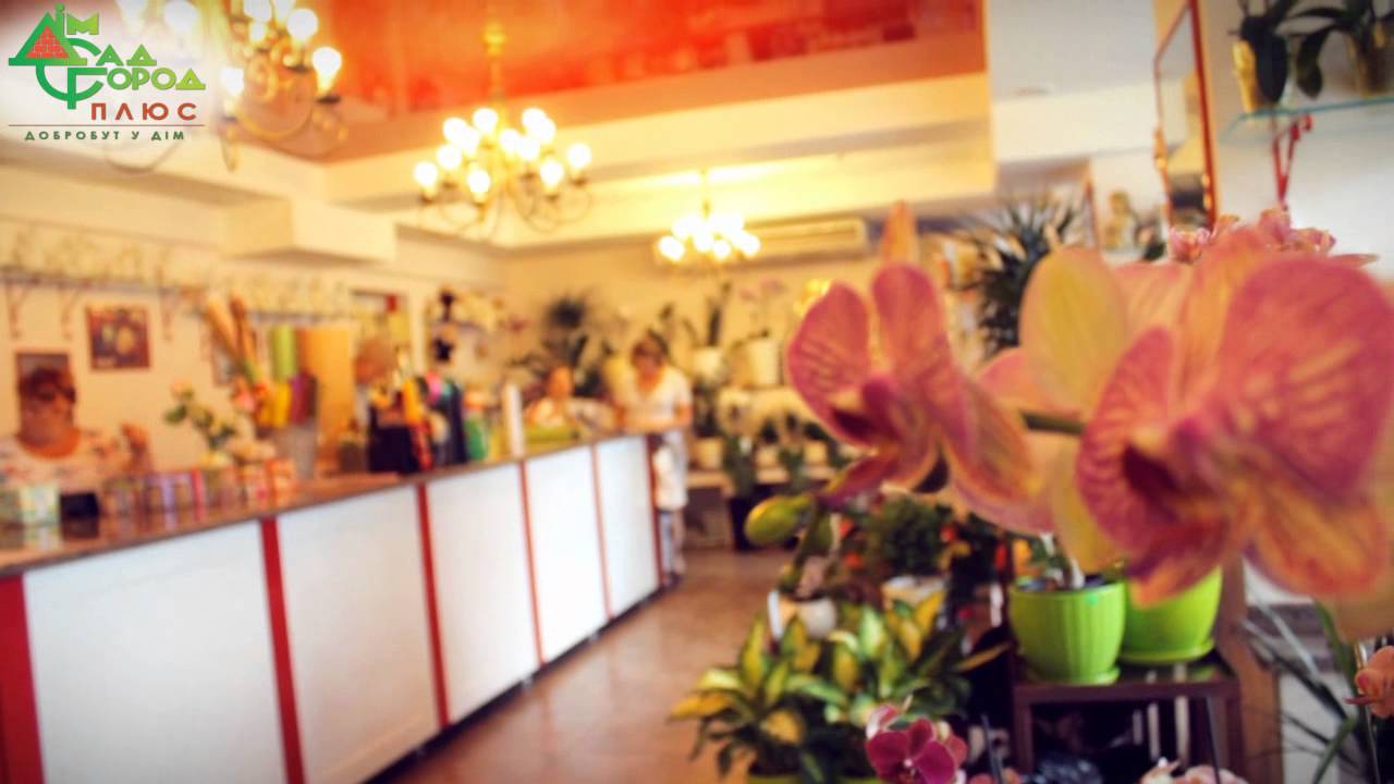 Магазин «Дом Сад Город»