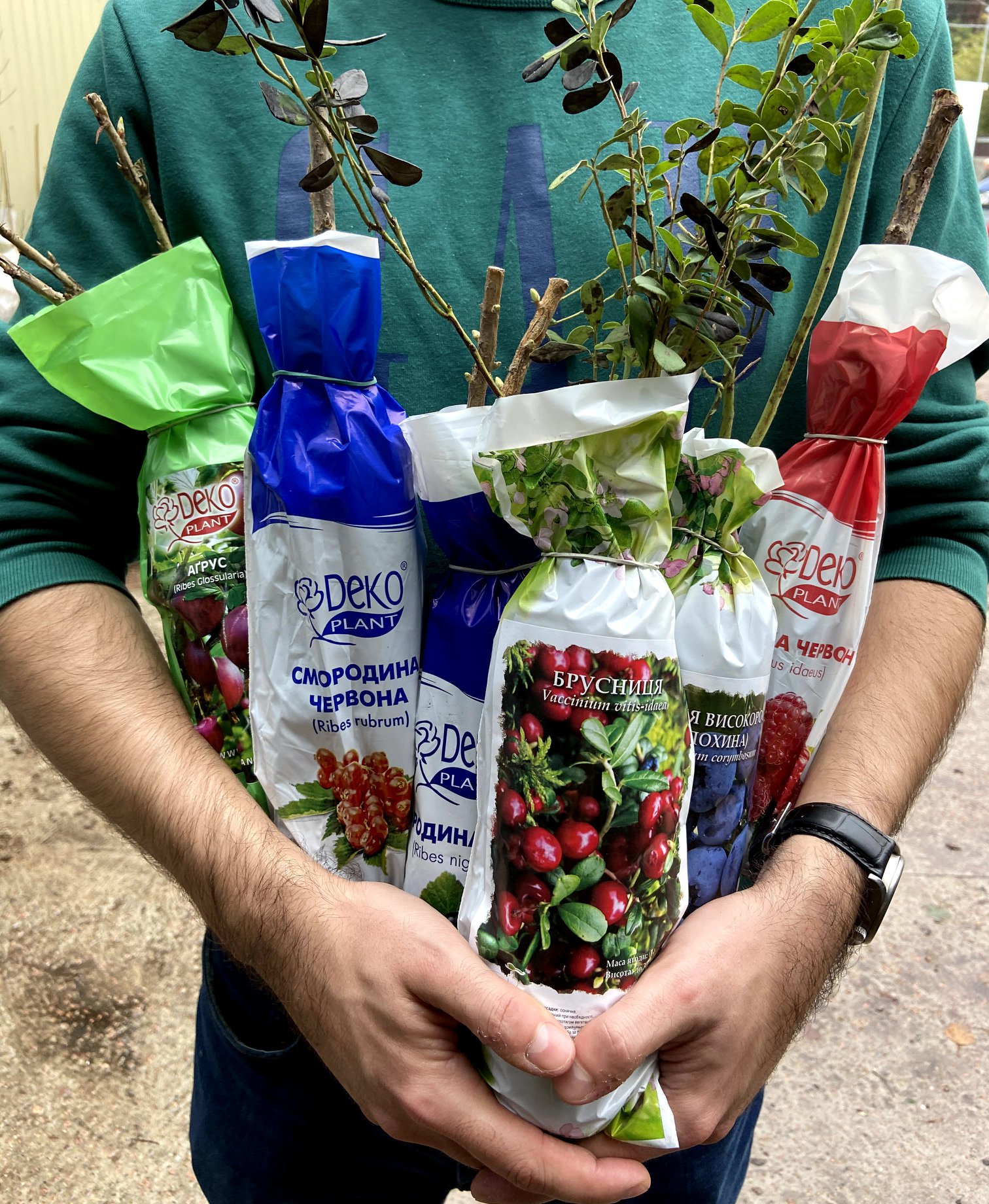 Магазин «Дом Сад Город»