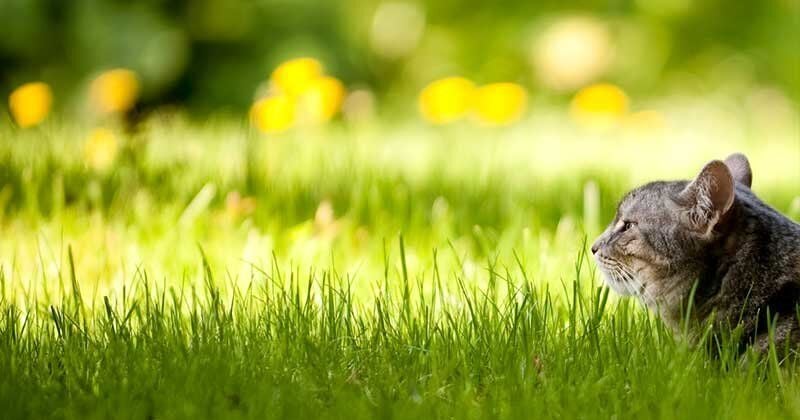 Магазин «Дом Сад Город»