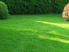 Компания «НК Элит»