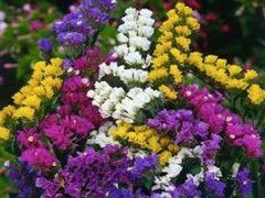 Компания «НК Элит»