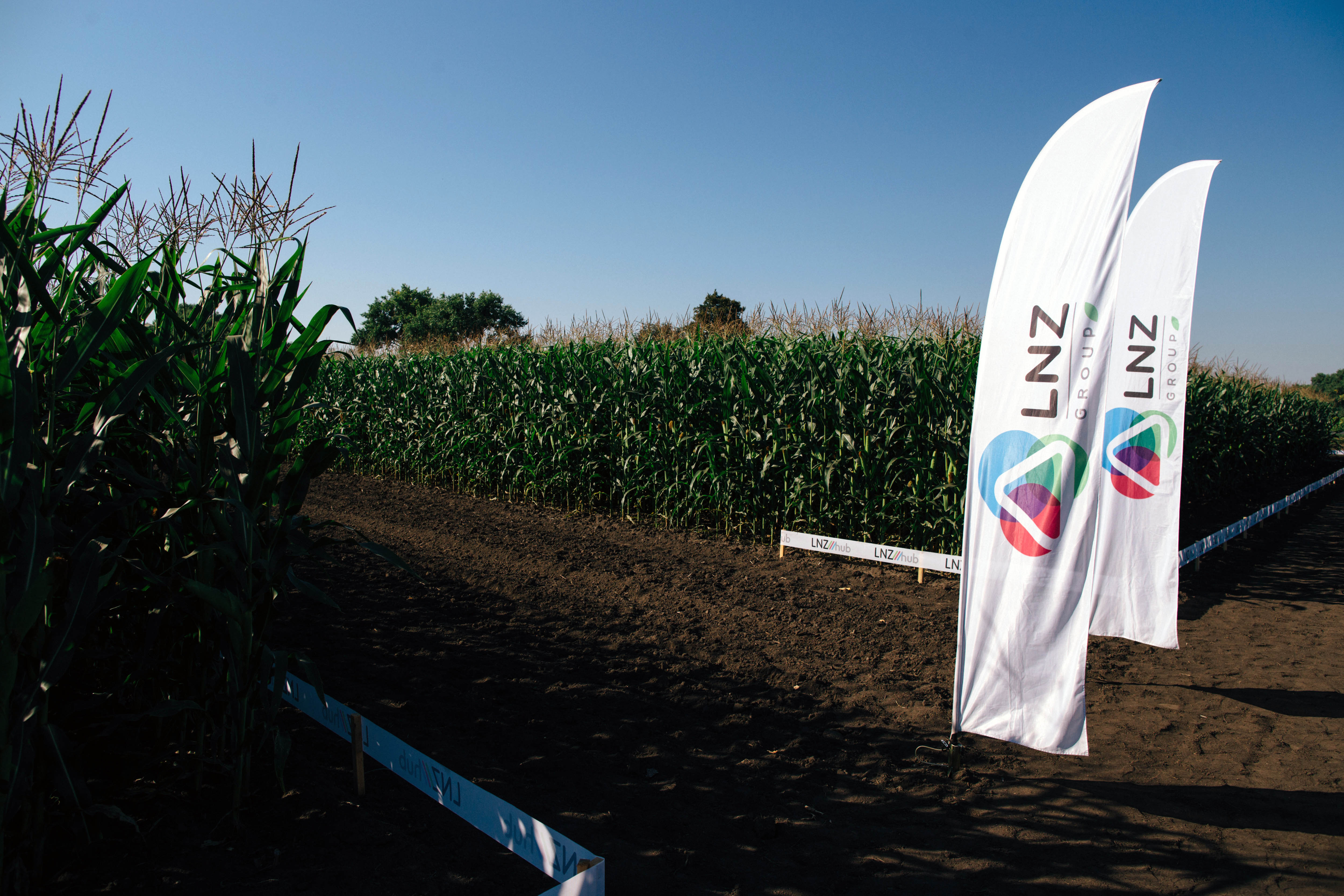 Аграрный интернет-магазин LNZ web