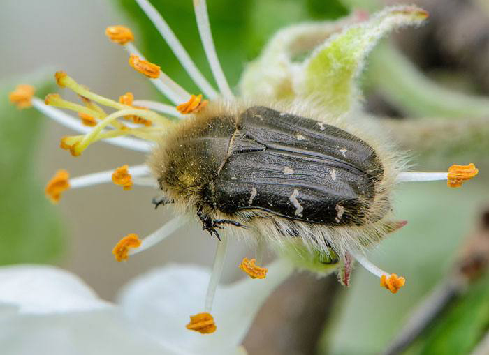 Интернет-магазин LETO