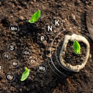 Научно-производственная компания «Экоорганик»