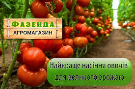 Агромагазин «Фазенда»