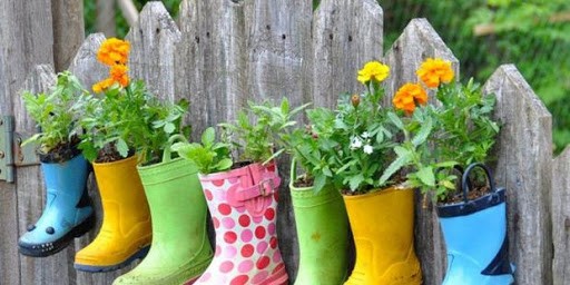 Сеть магазинов для дачников «Еко-Садиба»