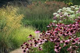 Компания «Ваш Новий Сад»