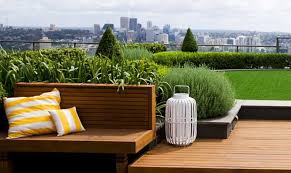 Компания «Шалений Садівник»